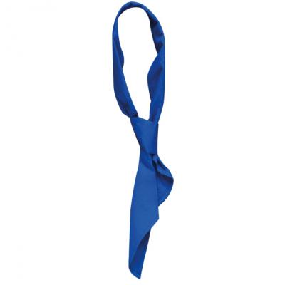 Neck Tie - Blue