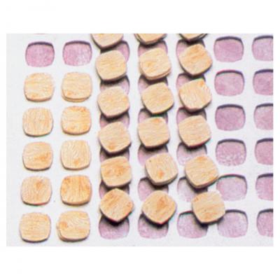 Silicon Chablon-35 x 35mm