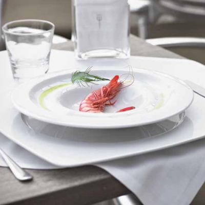 Plate Ona-266mm