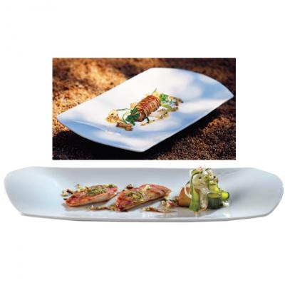 Platter-350x180mm 