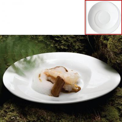 Flat Plate-Ø300mm