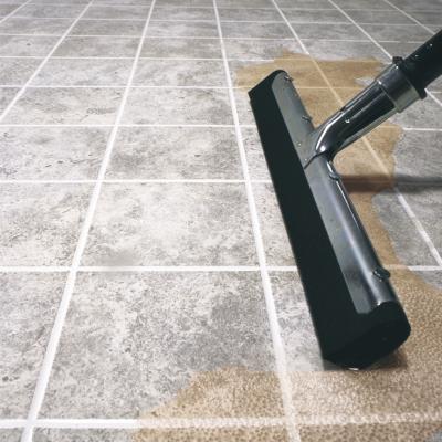 Lobby Pro  Wet/Dry spill pan 