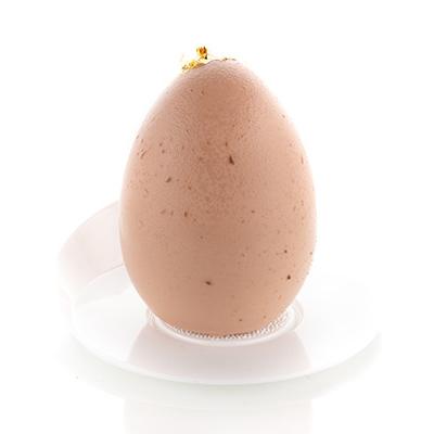 EGG 30