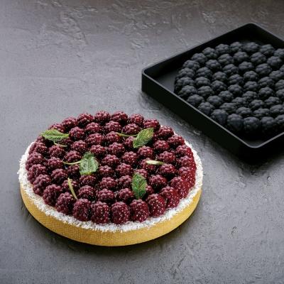 RAVEN TOP24 - BLACKBERRY SHAPE