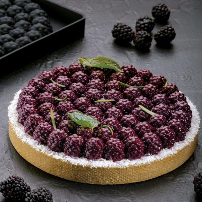 RAVEN TOP24 - BLACKBERRY SHAPE